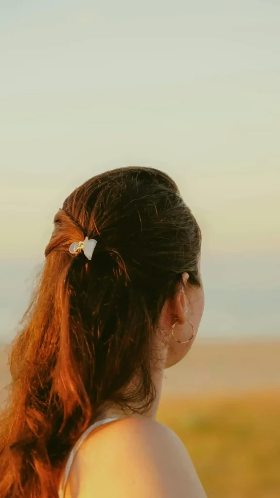  The Iconic Sleek Back Low Bun in black