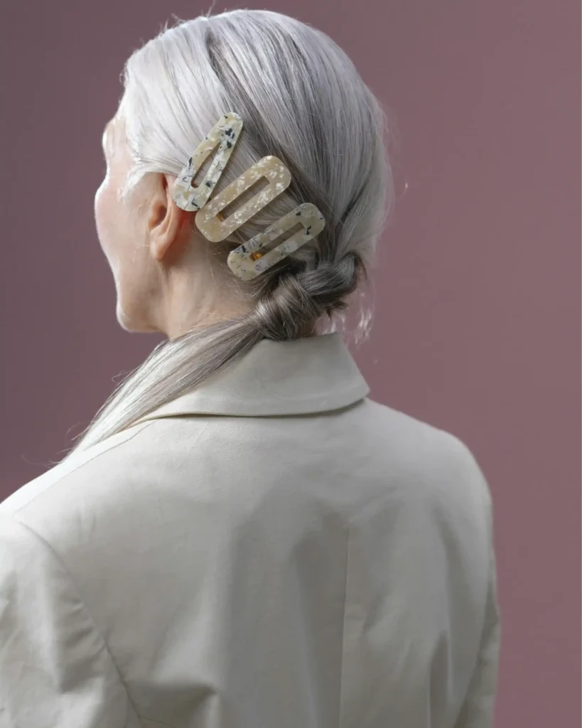  The Iconic Sleek Back Low Bun